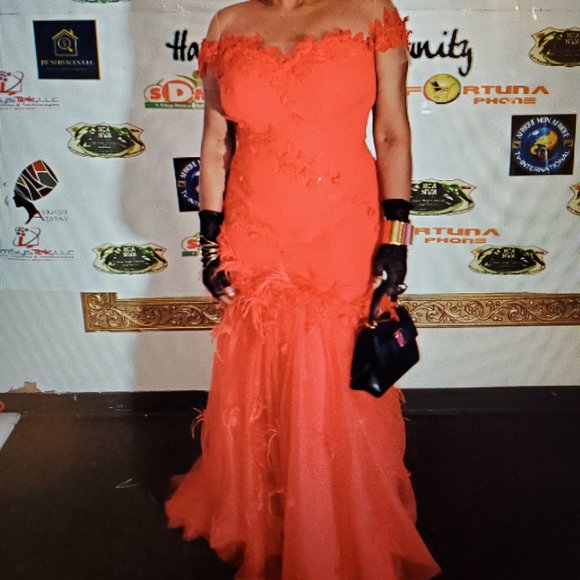 Gorgeous Formal Gown - Picture 4 of 7